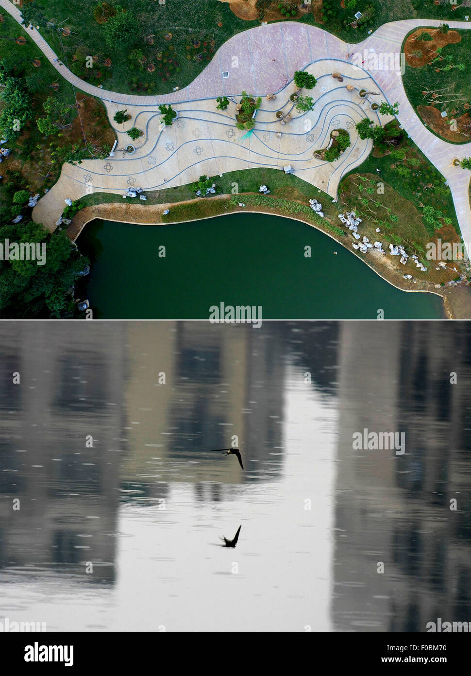 Liuzhou. 30 Mar, 2013. Combinazione foto mostra una vista aerea della trasformata Tianshan Parco di Liuzhou City il 11 agosto, 2015 (superiore) e due piccioni sorvolano un puzzolente piscina presso il parco stesso il 30 marzo 2013 (inferiore), nel sud della Cina di Guangxi Zhuang Regione autonoma. Il Parco Tianshan, precedentemente un puzzolente piscina, dispone di 28000 metri quadrati di zona verde dopo la trasformazione. © Li Hanchi/Xinhua/Alamy Live News Foto Stock