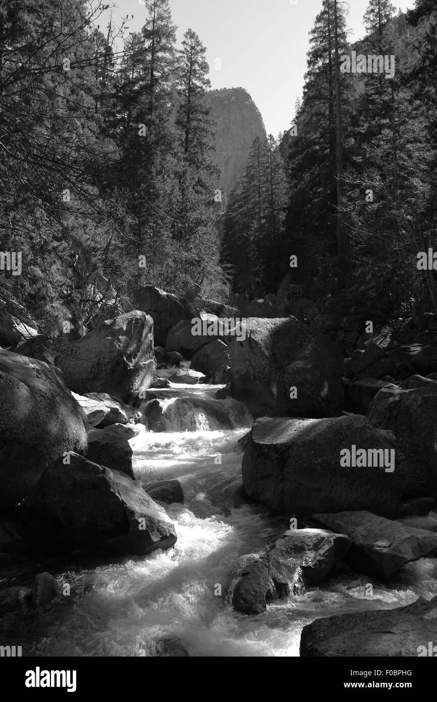 Parco nazionale di Yosemite brian mcguire Foto Stock