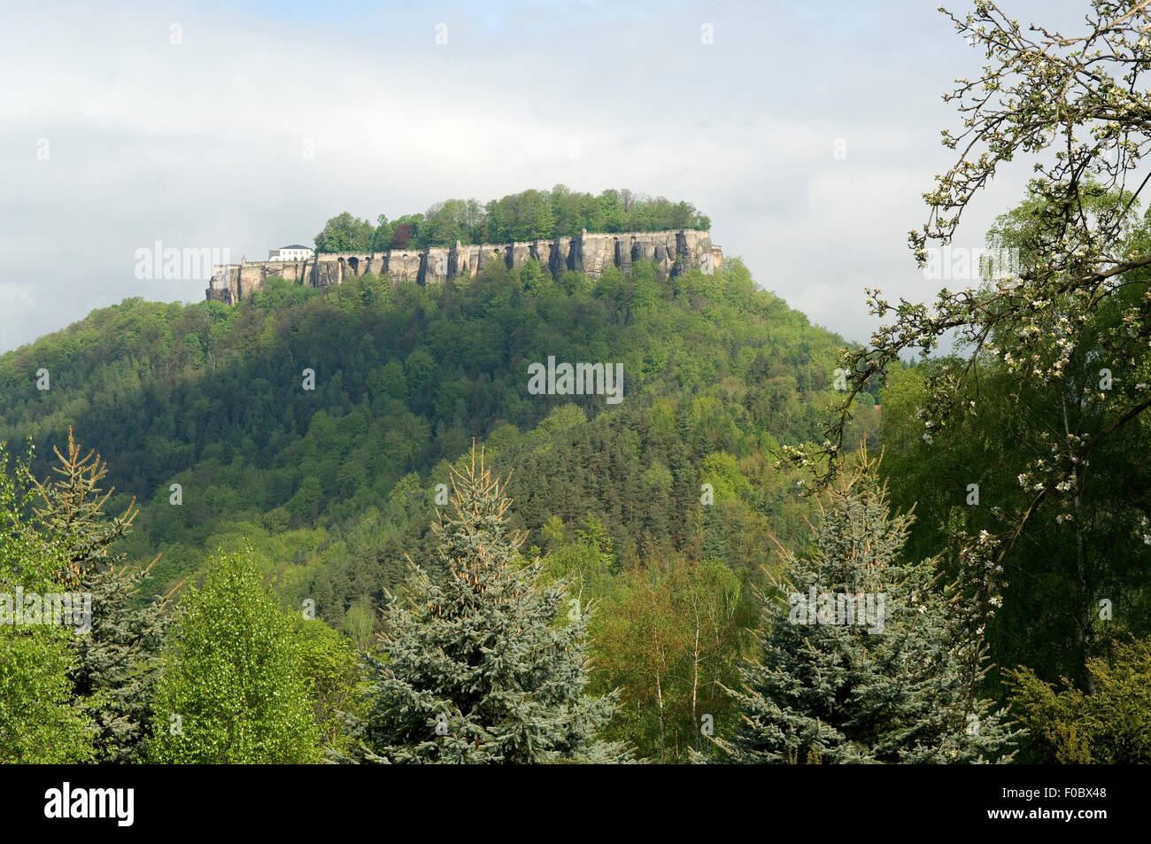 Burg Koenigstein, Festung, Svizzera Sassone; Foto Stock