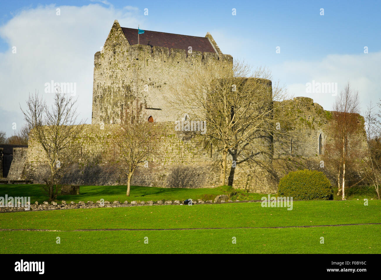 Mediavel Castello di Athenry nella soleggiata giornata autunnale Foto Stock