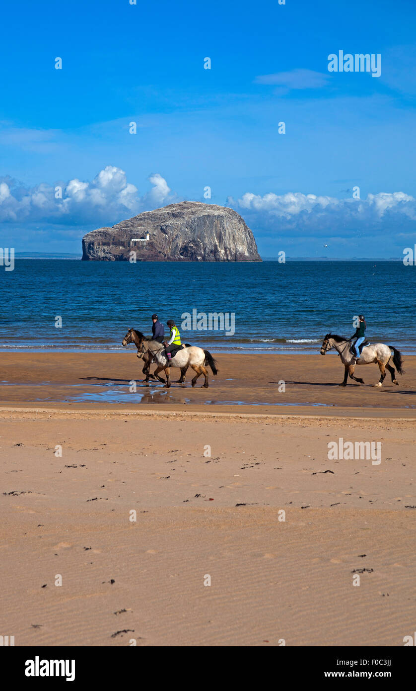 Cavalieri su East Lothian spiaggia con Bass rock in background Scotland Regno Unito Foto Stock