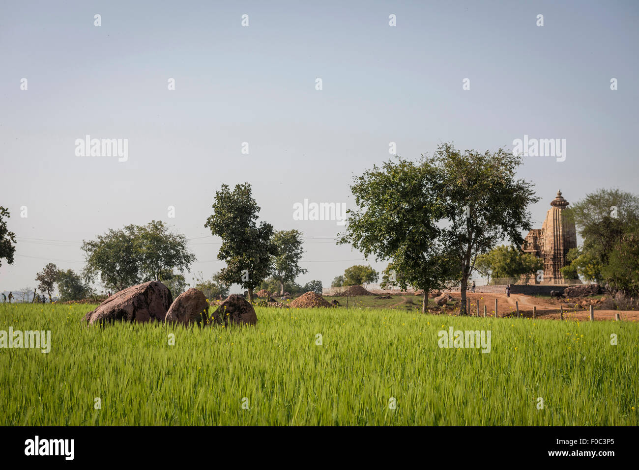 Rocce di grandi dimensioni in un campo di cereali nei pressi di antichi templi indù di Khajuraho, Madhya Pradesh, India Foto Stock