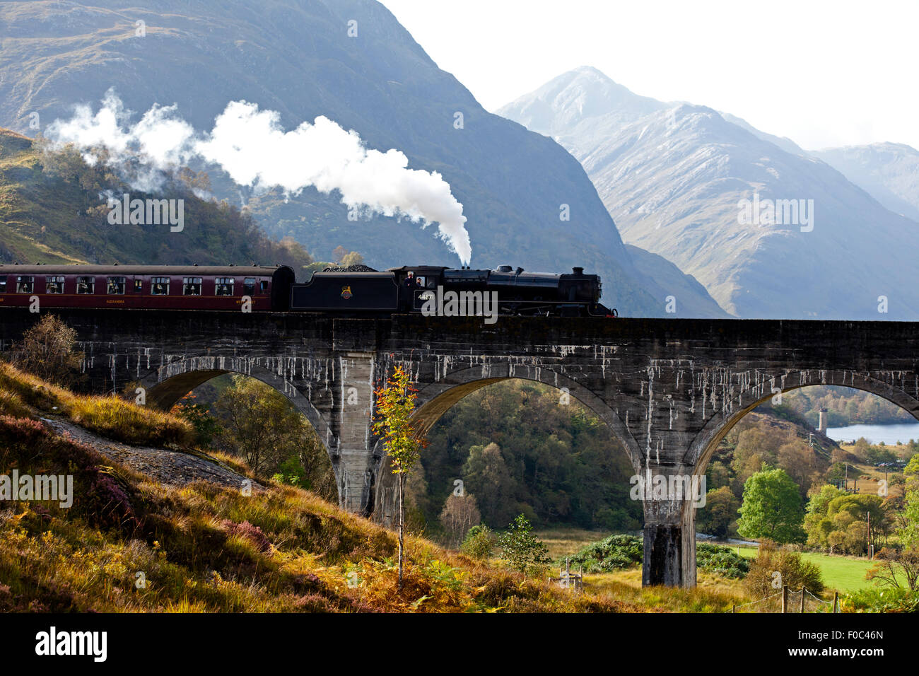 Giacobita treno a vapore, viadotto Glenfinnan, Lochaber, Scotland, Regno Unito Foto Stock