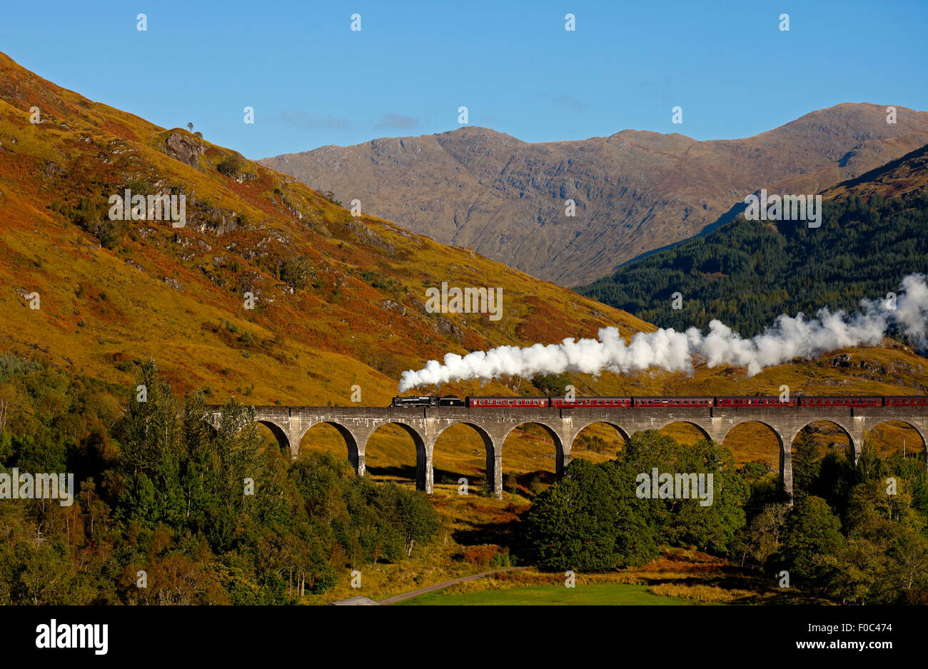 Giacobita treno a vapore, viadotto Glenfinnan, Lochaber, Scotland, Regno Unito Foto Stock