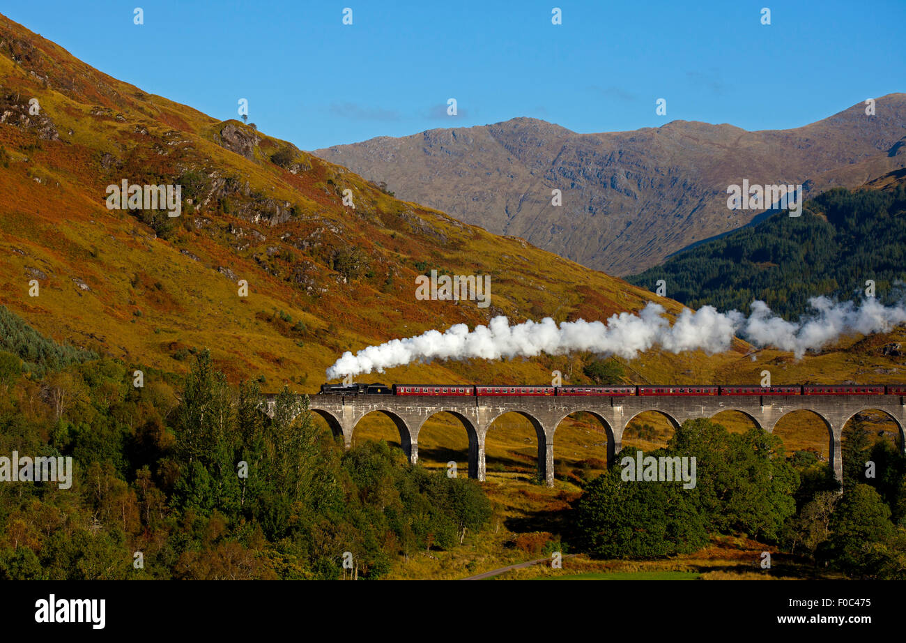 Giacobita treno a vapore, viadotto Glenfinnan, Lochaber, Scotland, Regno Unito Foto Stock