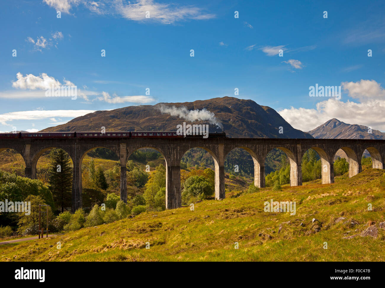Giacobita treno a vapore, viadotto Glenfinnan, Lochaber, Scotland, Regno Unito Foto Stock