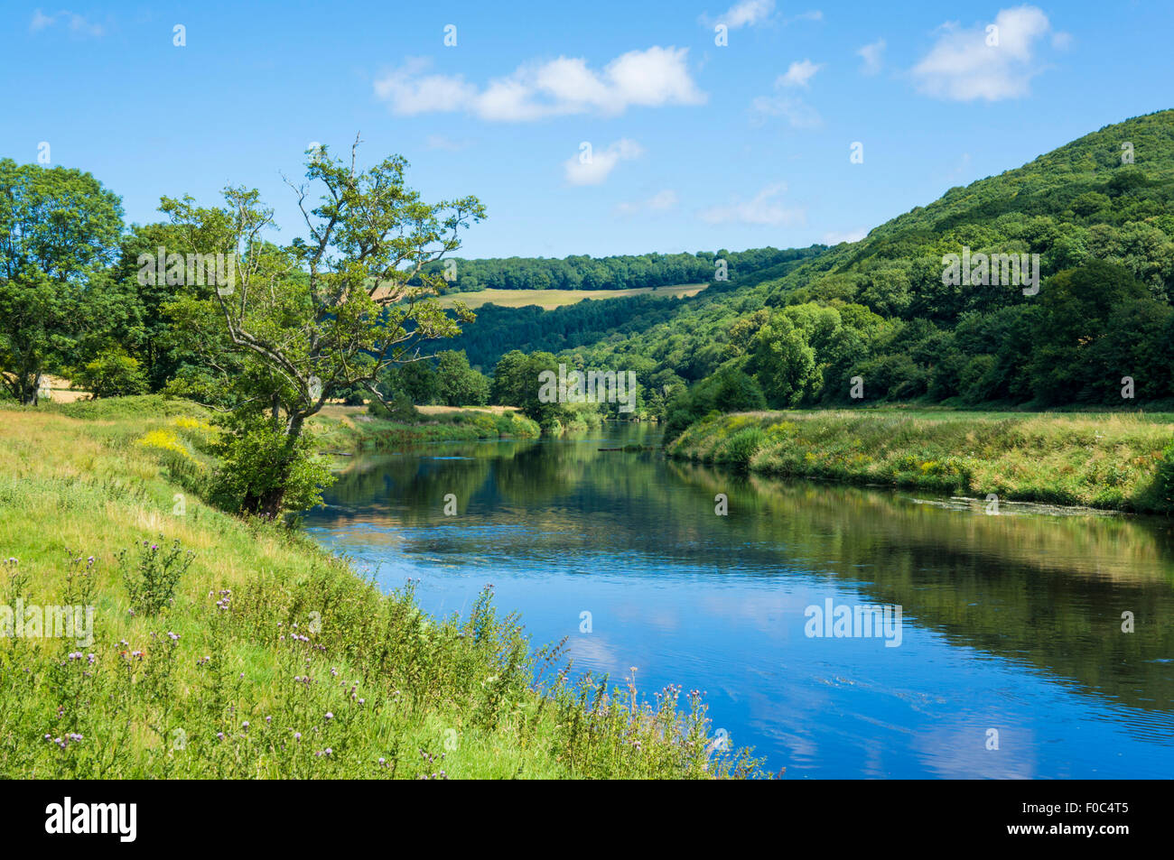 Fiume Wye a Bigsweir, Wye Valley, Monmouthshire, Wales, Regno Unito e Unione europea, Europa Foto Stock