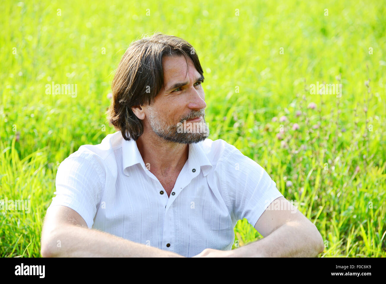 Un uomo si siede nel prato in estate Foto Stock