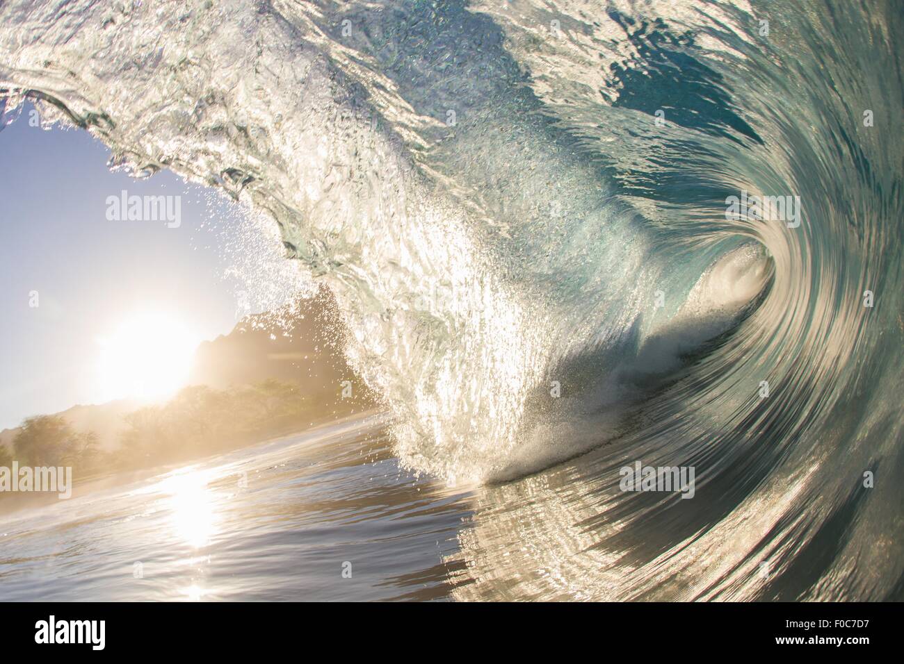 Barrelling wave al tramonto, Hawaii Foto Stock