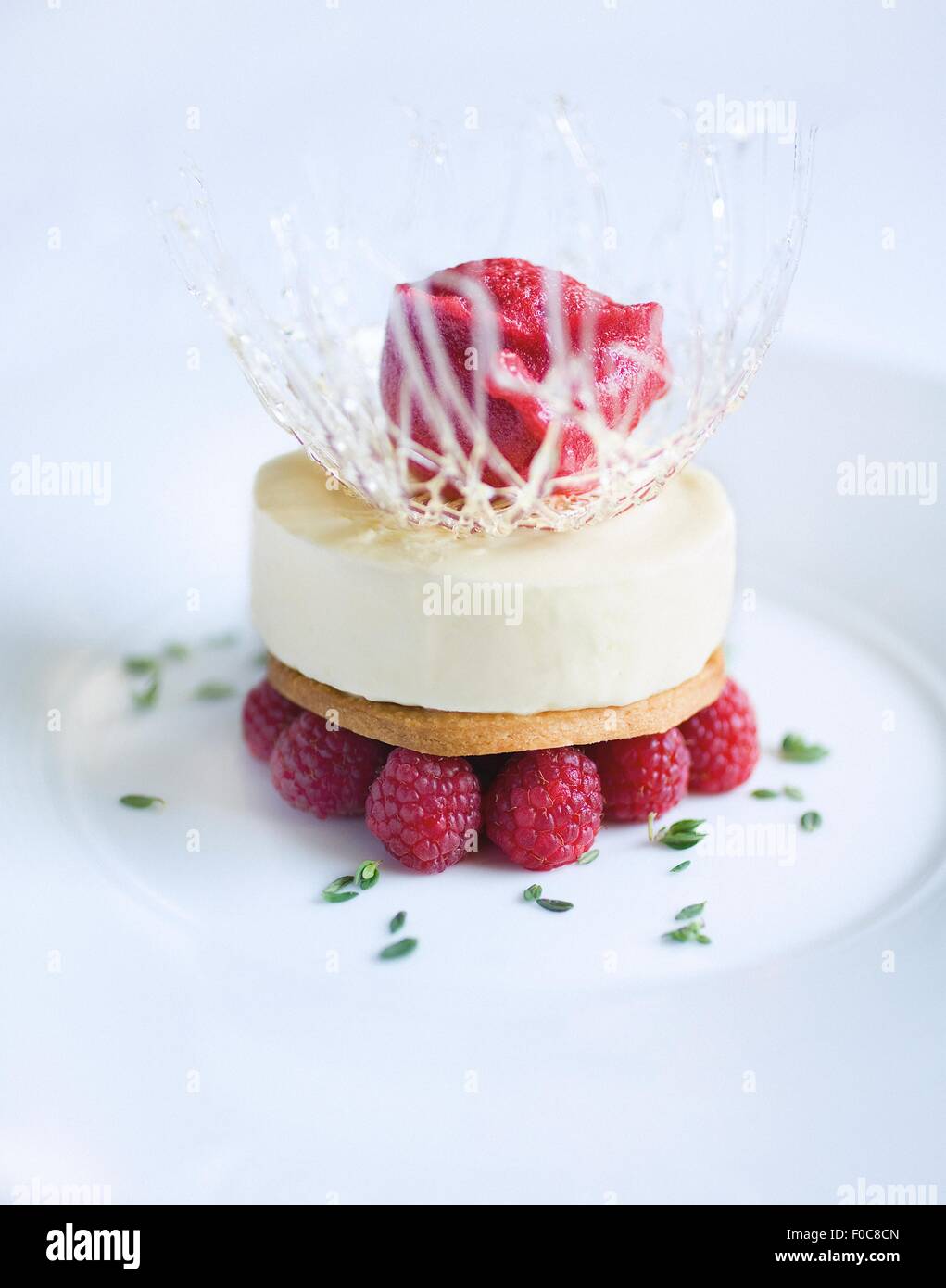 Chiusura del piatto da dessert con lamponi, gelato e sorbetto Foto Stock