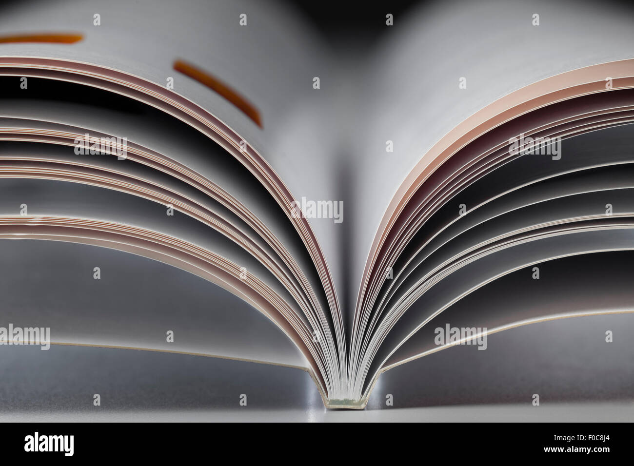 Un libro aperto su sfondo grigio Foto Stock