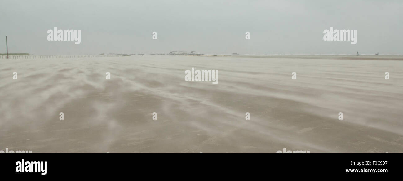 Sandsturm, Strand, Sankt Peter-Ording Foto Stock