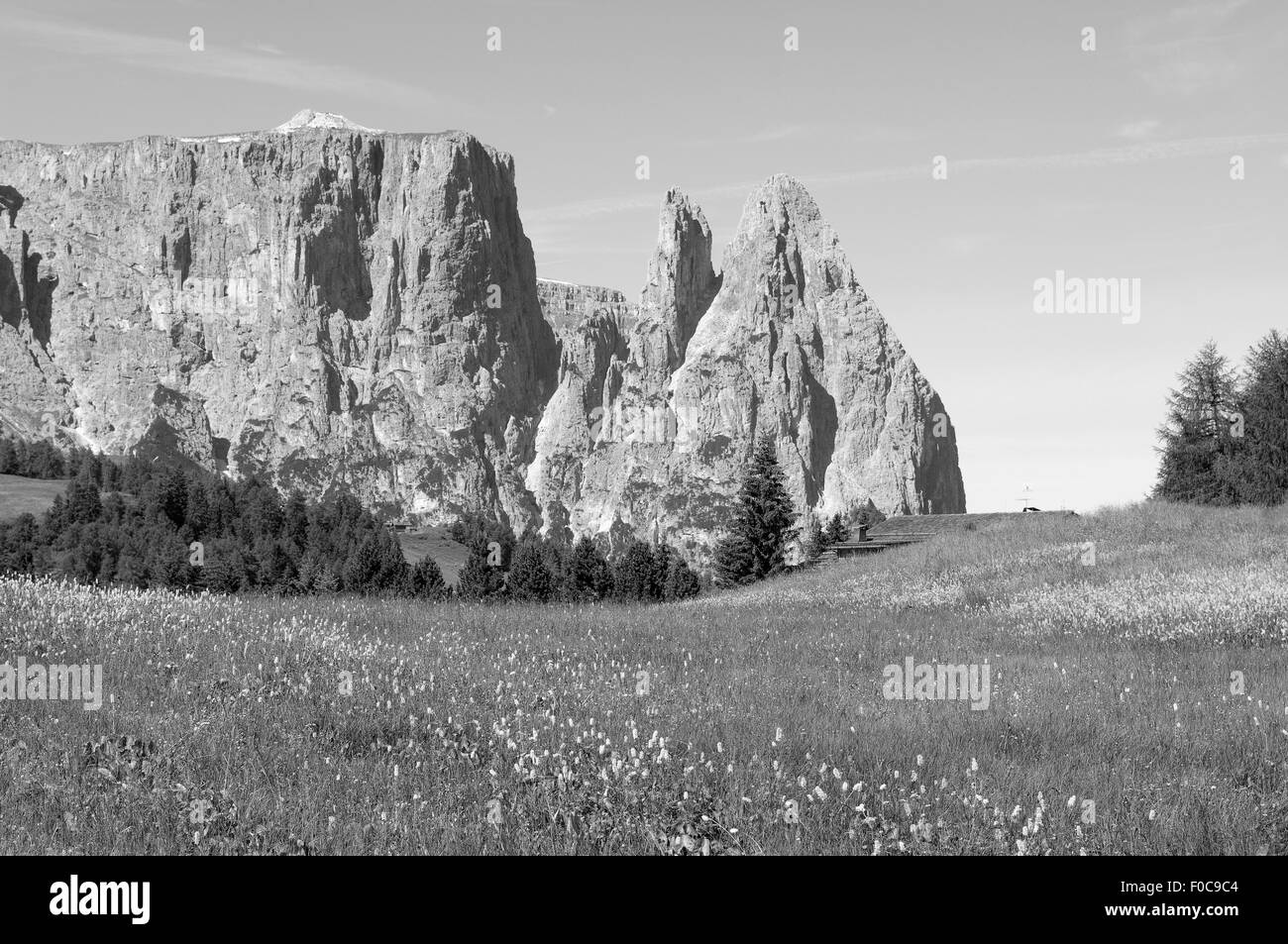 Massiccio dello Sciliar Alpe, Alm, Dolomiten, Foto Stock