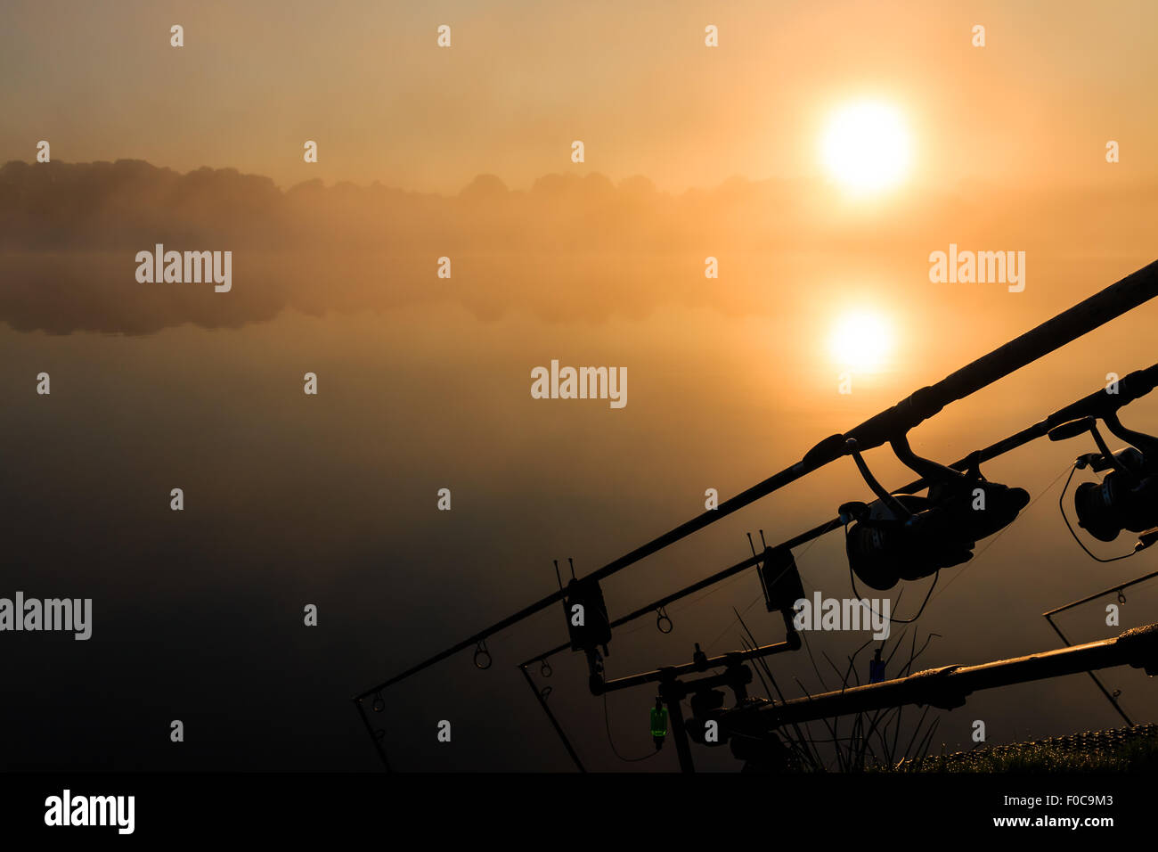 La pesca alla carpa in una nebbiosa lago a sunrise nel centro della Francia. Le aste sono pronti per la cattura del pesce. Foto Stock