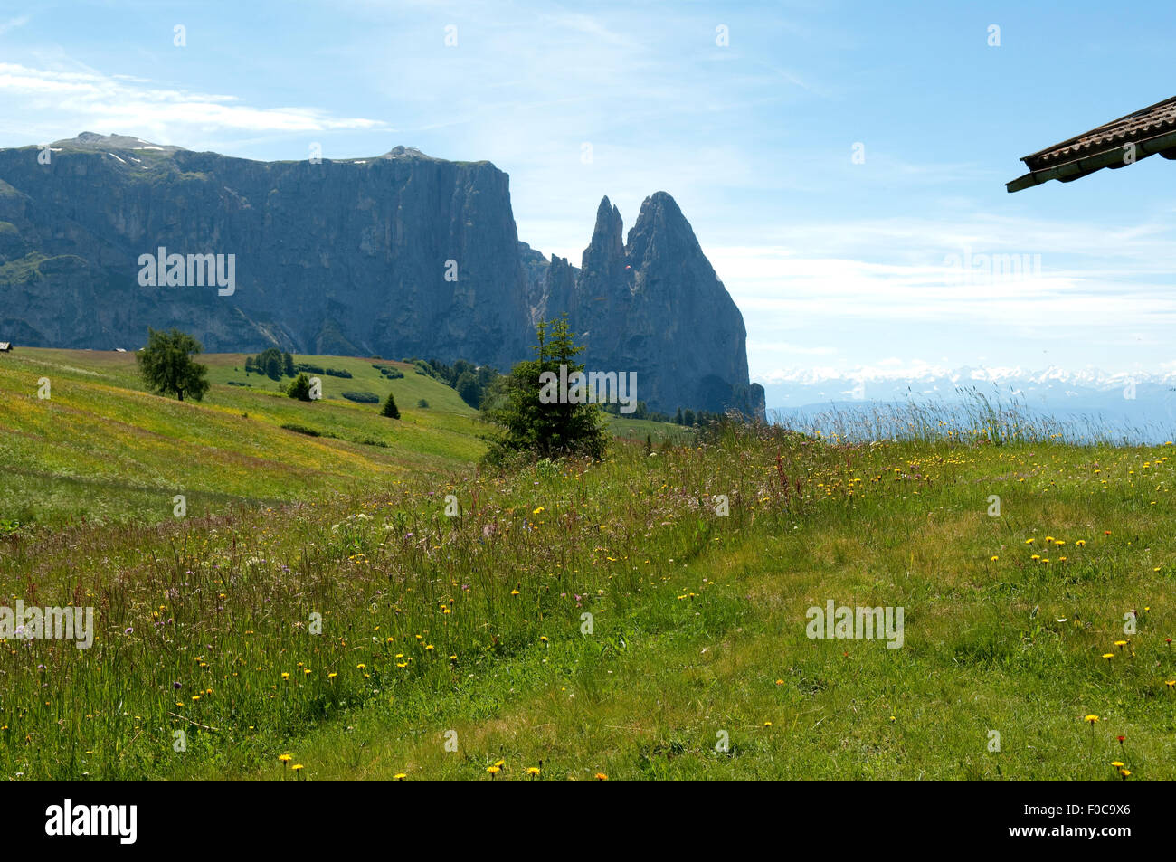 Massiccio dello Sciliar Alpe, Alm, Dolomiten, Foto Stock