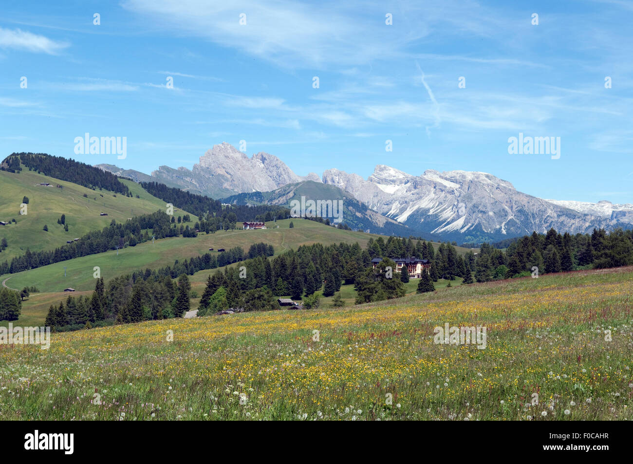 Seiser Alm,, Dolomiten, UNESCO-Weltnaturerbe, Dolomiti, Foto Stock