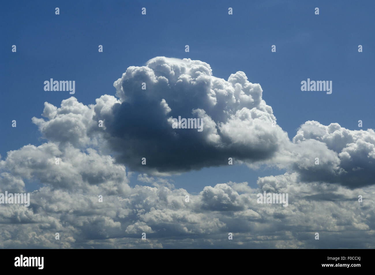 Wolke, Blau Konvektionswolken; Blauer Himmel; Foto Stock