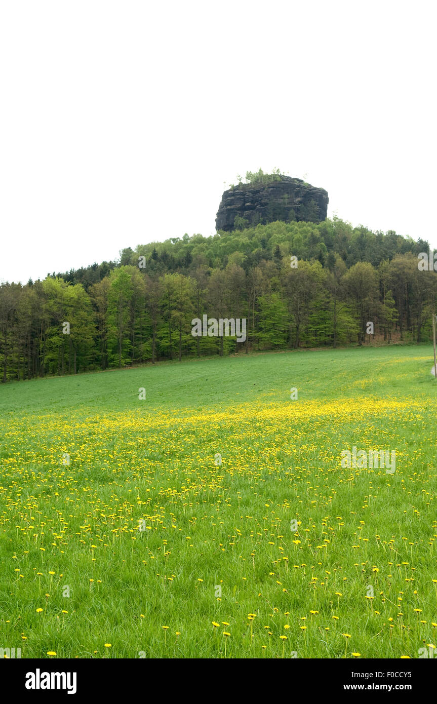 Zirkelstein, Schoena, Erhebung, Foto Stock
