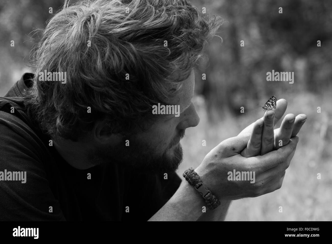 Naturalista incontra una farfalla Foto Stock