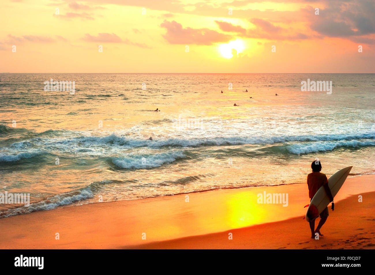 Surfer con una tavola da surf in spiaggia al tramonto. Sri Lanka Foto Stock