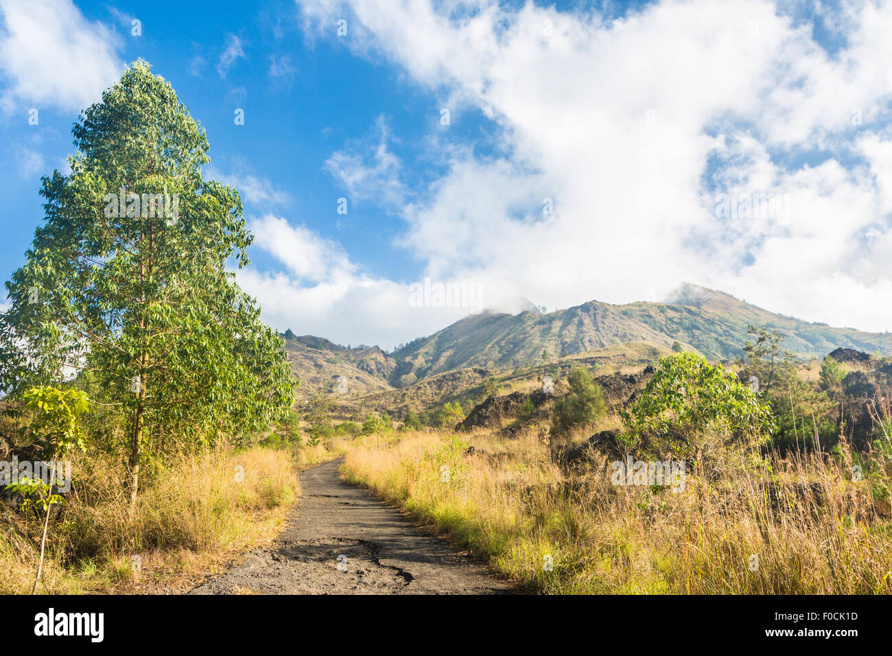 Sul sentiero che conduce alla vetta del vulcano Batur vicino al villaggio di Kintamani a Bali, in Indonesia Foto Stock