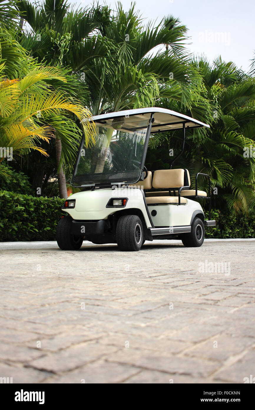 Carrello da golf presso il resort tropicale Foto Stock