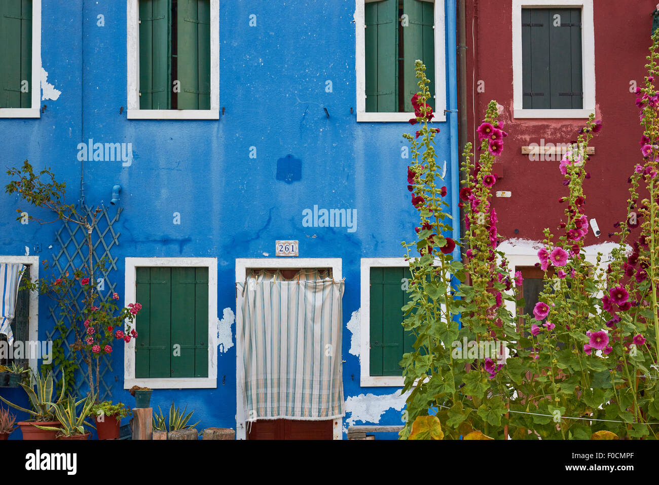 Tradizionali case dipinte e fiori Burano Laguna di Venezia Veneto Italia Europa Foto Stock