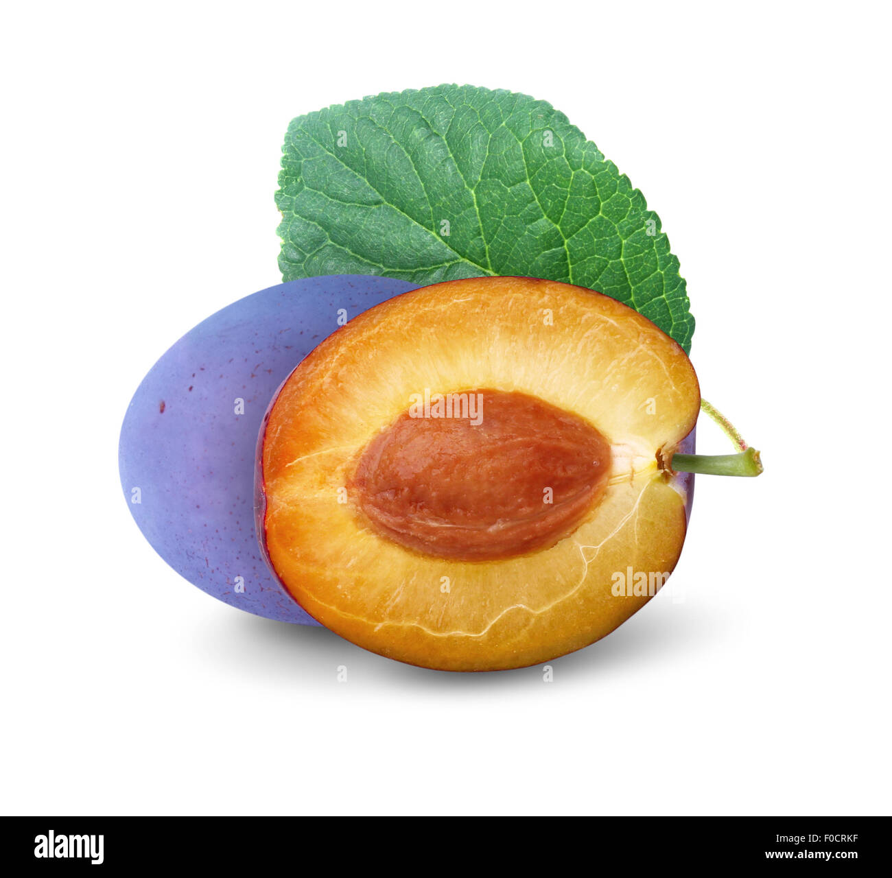 Tagliare il blu prugna con foglie isolato su bianco Foto Stock