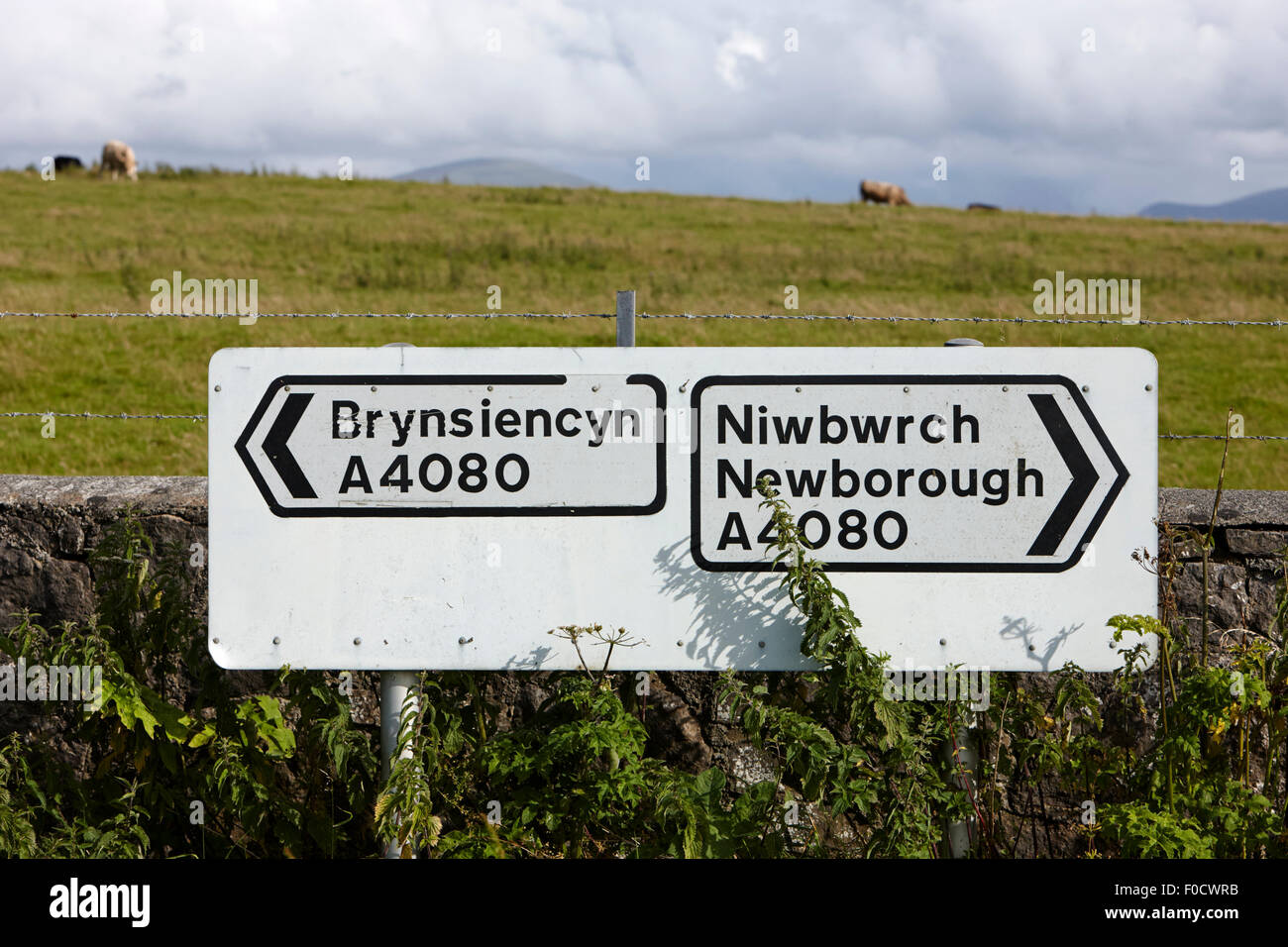 Cartello stradale per la a4080 strada rurale in anglesey north Wales tra brynsiencyn e newborough Foto Stock