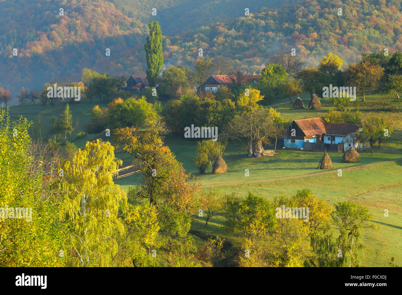 Paesaggio rurale vicino a Zarnesti, Transilvania meridionale, le montagne dei Carpazi, Romania, Ottobre 2008 Foto Stock