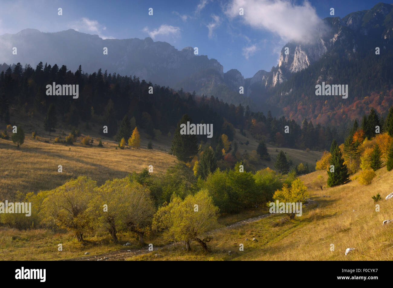 Rock del Re, Piatra Craiului National Park, Transilvania meridionale, le montagne dei Carpazi, Romania, Ottobre 2008 Foto Stock