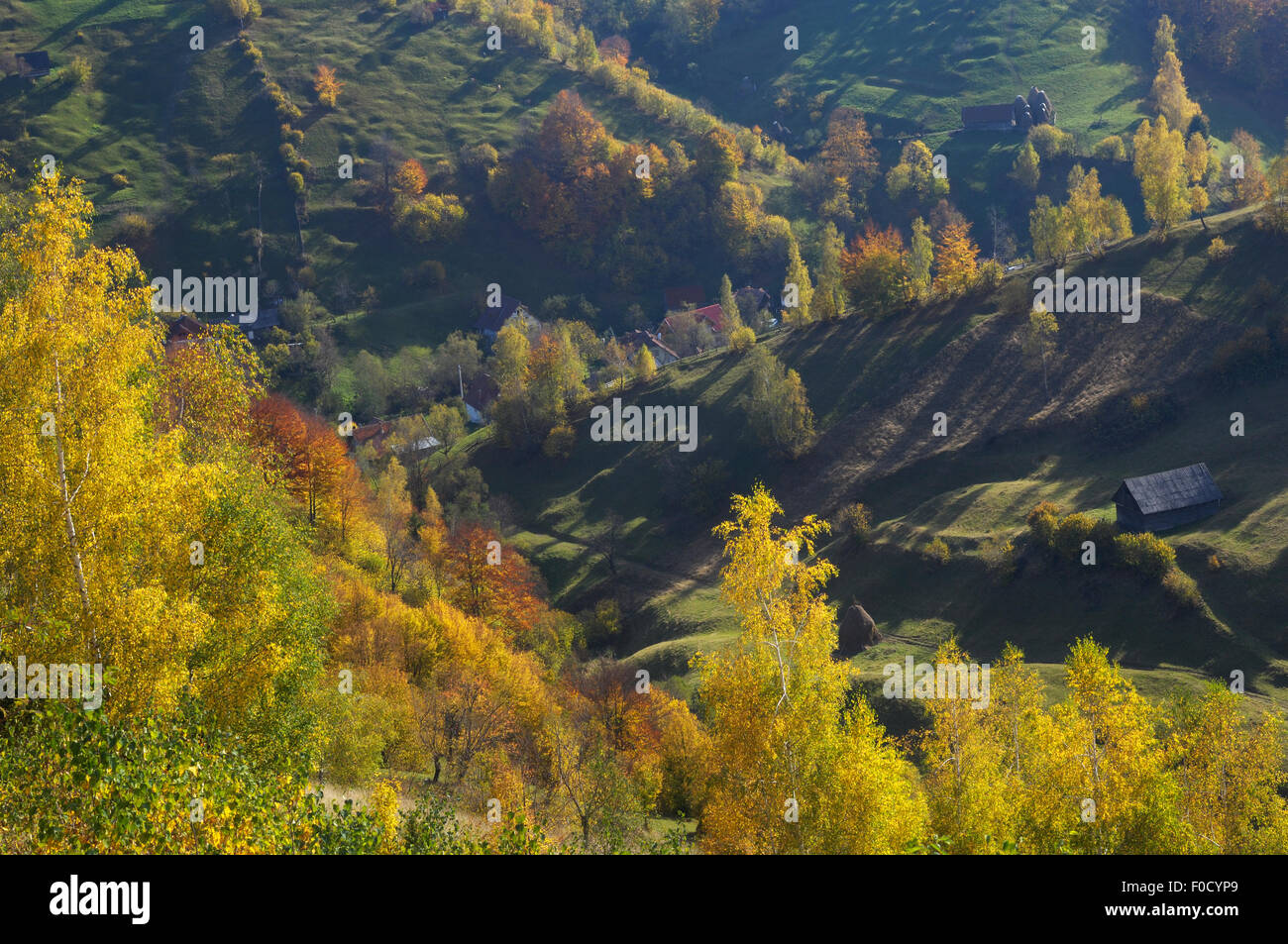 Magurai, Piatra Craiului National Park, Transilvania meridionale, le montagne dei Carpazi, Romania, Ottobre 2008 Foto Stock