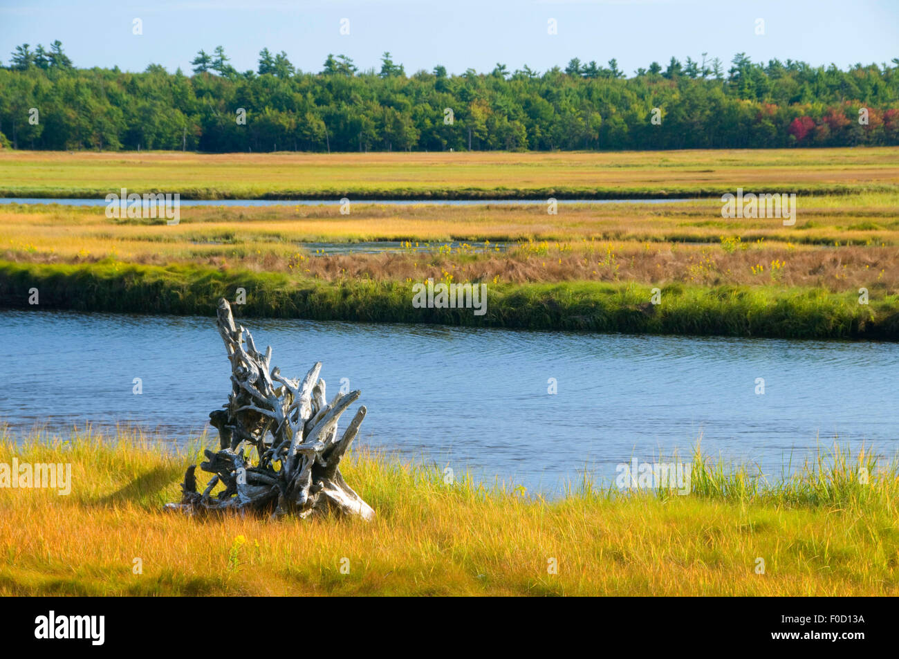 Po' estuario del fiume, Pozzi nazionali di ricerca di estuario Riserva, Maine Foto Stock