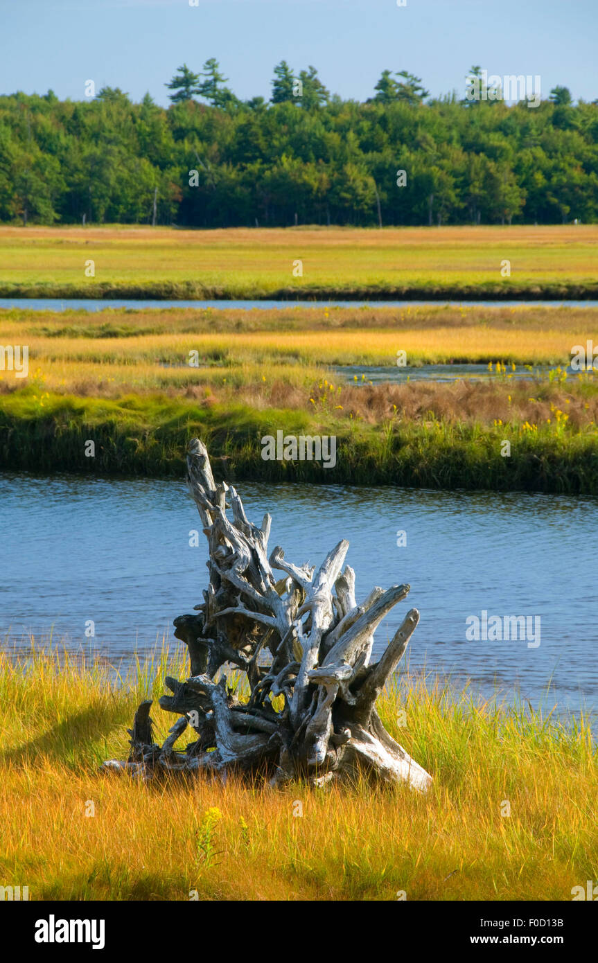 Po' estuario del fiume, Pozzi nazionali di ricerca di estuario Riserva, Maine Foto Stock