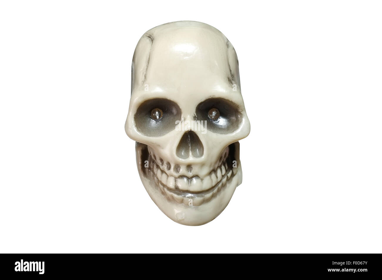 Cranio umano isolato su sfondo bianco Foto Stock