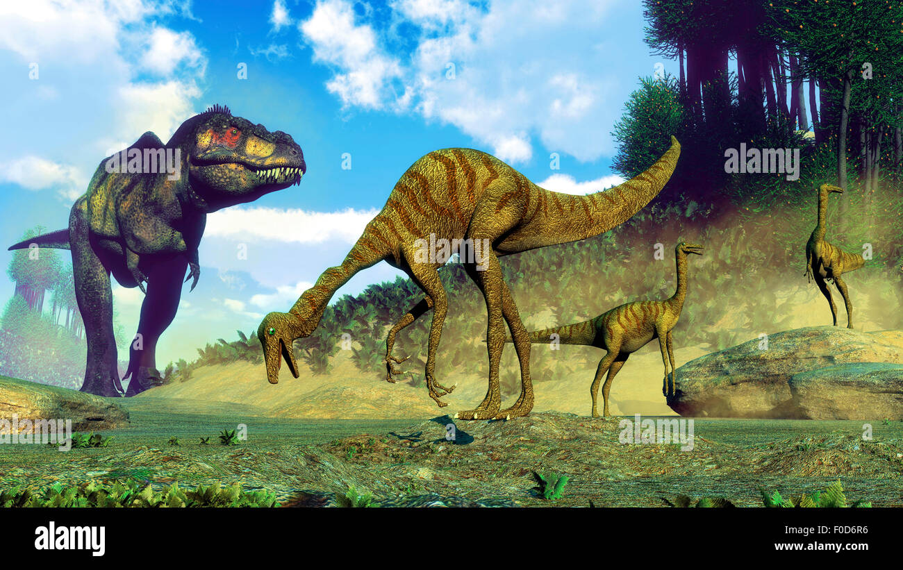 Tyrannosaurus rex sorprendente di un branco di dinosauri Gallimimus. Foto Stock