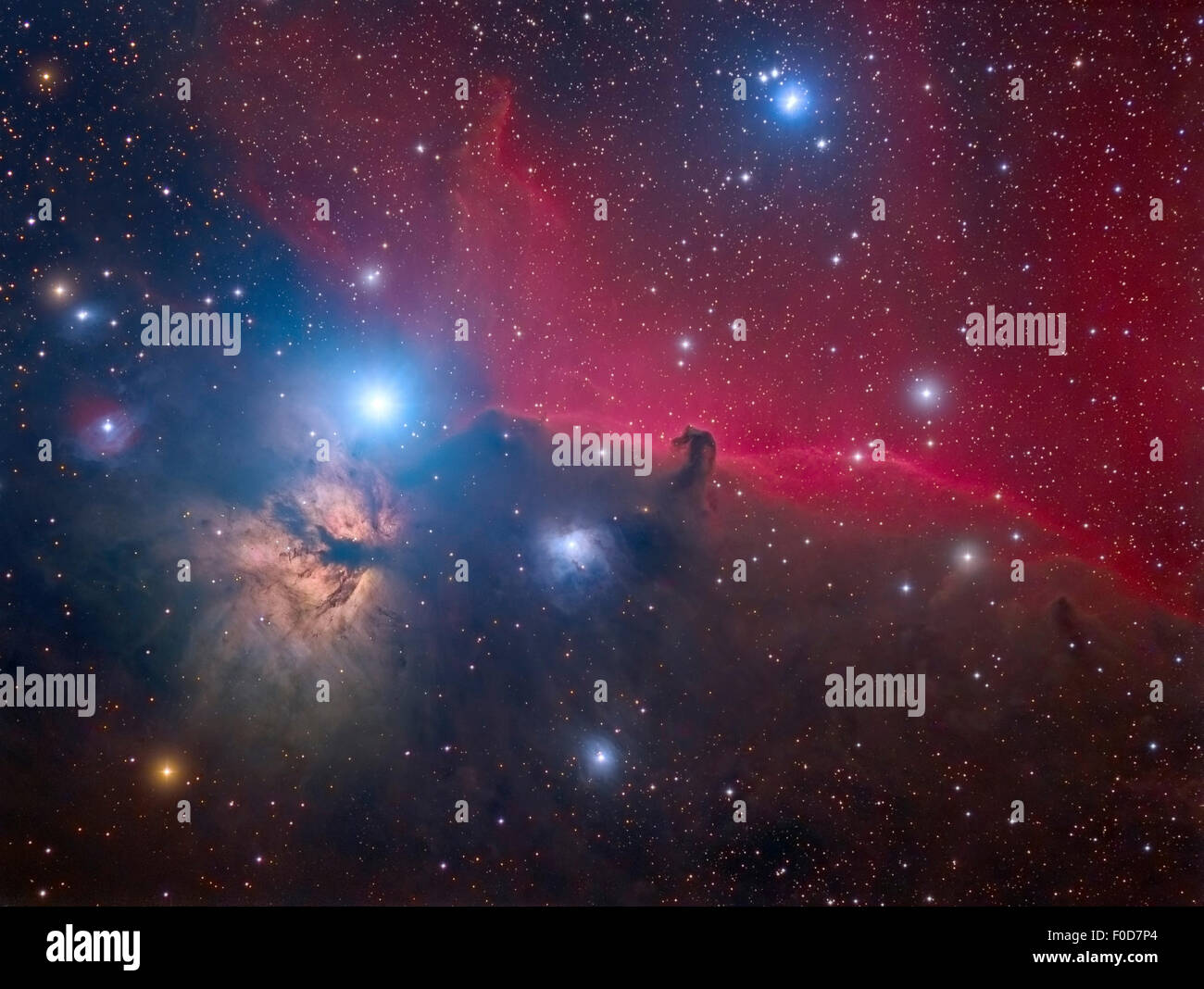 La Horsehead Nebula e nebulosa Fiamma nella costellazione di Orione. Foto Stock