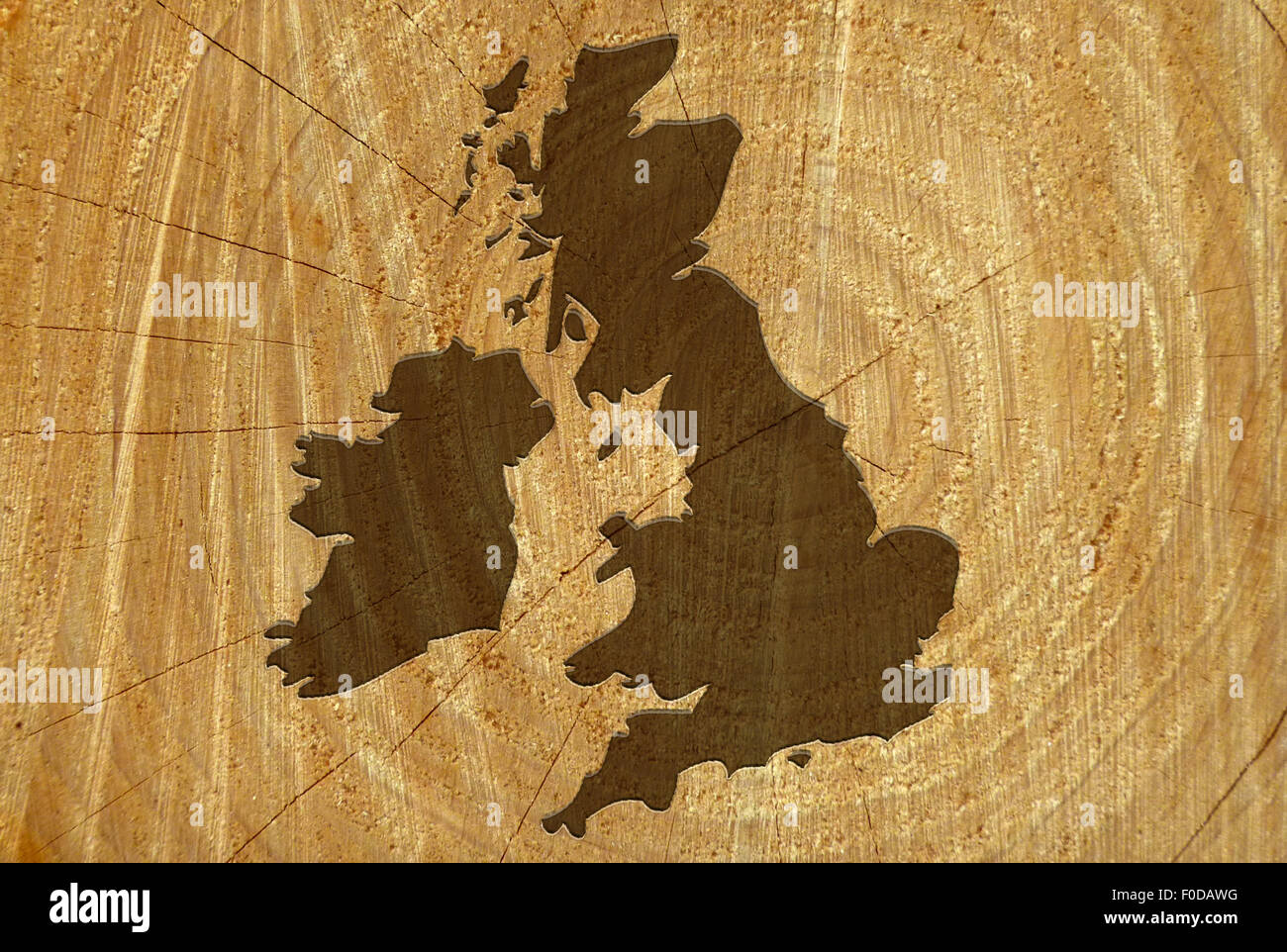 Mappa del Regno Unito sul taglio fresco albero che mostra texture di legno Foto Stock