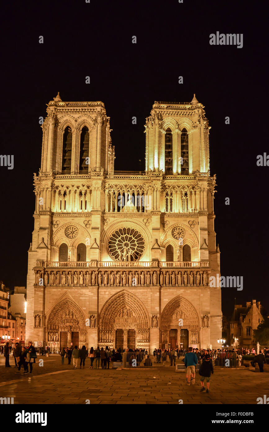 La cattedrale di Notre Dame di notte, Parigi, regione Ile-de-France, Francia Foto Stock