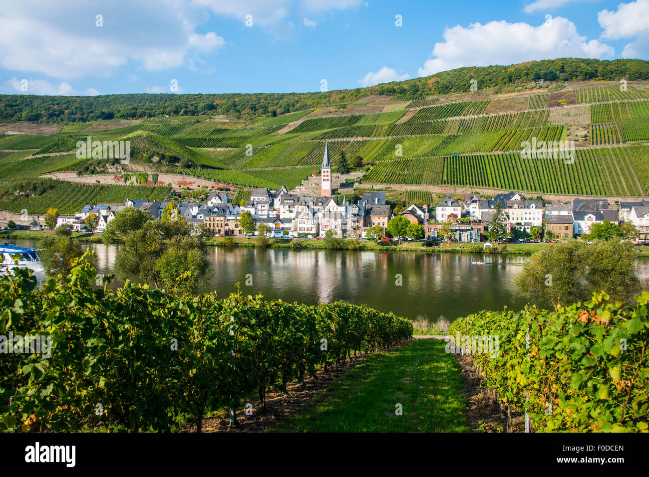 Townscape, vigneti, Mosella, Zell, valle della Mosella, Renania-Palatinato, Germania Foto Stock
