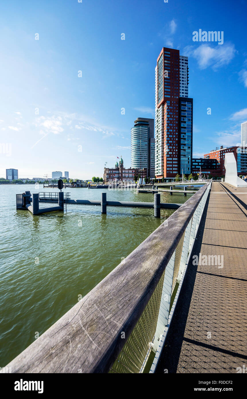 Architettura moderna dal Nieuwe Maas River, distretto di Feijenoord, Rotterdam, Olanda, Paesi Bassi Foto Stock