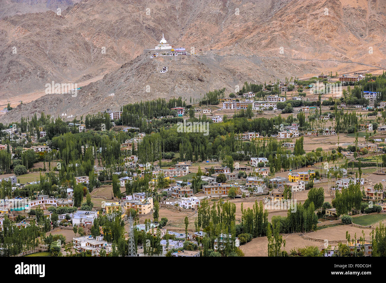 India Jammu Kashmir Ladakh Leh una vista della città di Leh Foto Stock