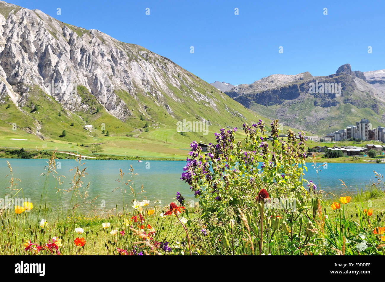 Fiori sul bordo di un lago di montagna in estate in ski resort Foto Stock