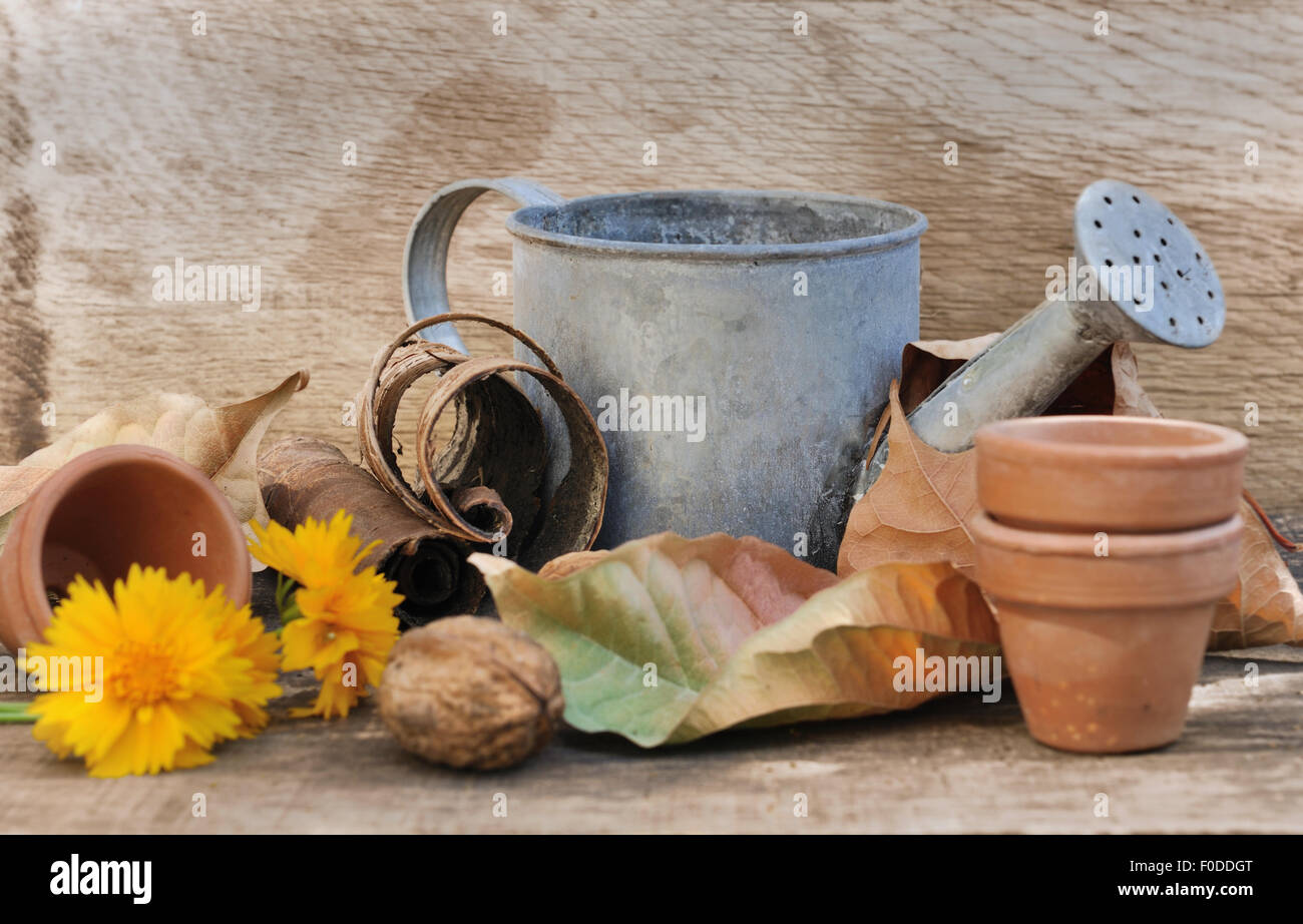 Composizione con foglie autunnali, annaffiatoio, fiori e vasi Foto Stock