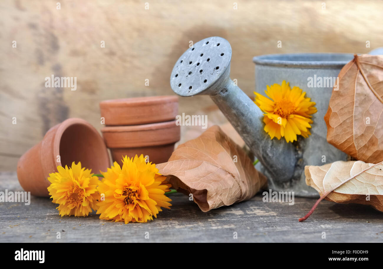 Composizione con foglie autunnali, annaffiatoio, fiori e vasi Foto Stock