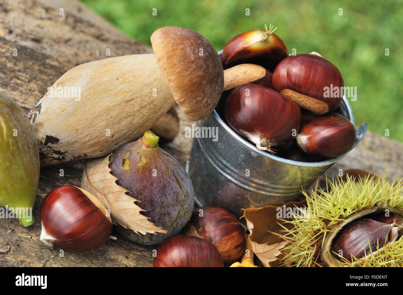 Le castagne in un po' di benna, funghi e figure su una tavola Foto Stock