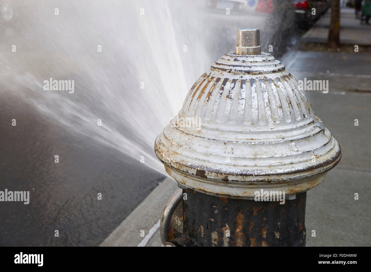 Idrante di fuoco con spruzzatore attivato, Queens, a New York City, Stati Uniti d'America. Questi sono utilizzati durante le ondate di caldo per street nuoto Foto Stock