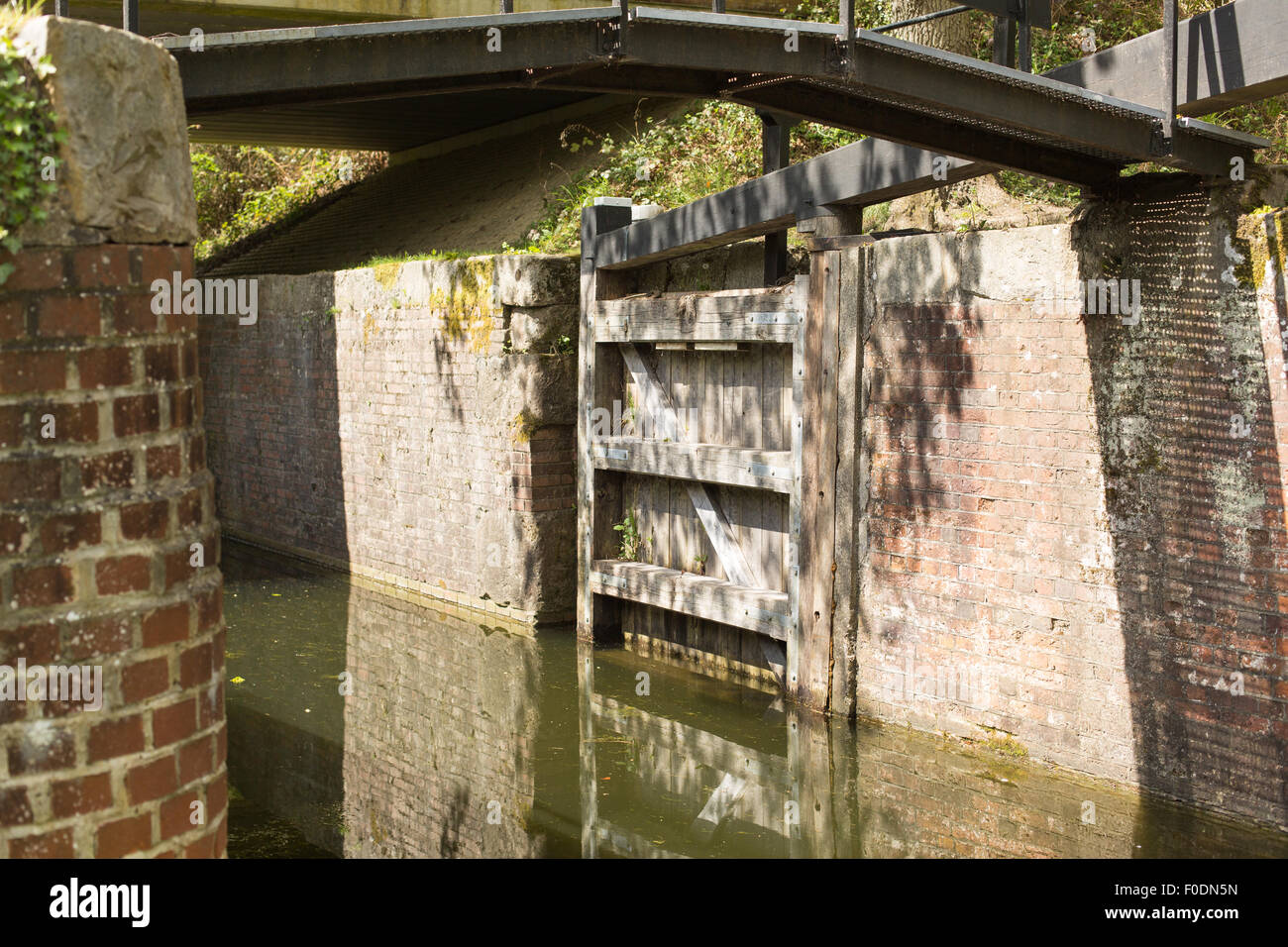 Vista bassa a monte del blocco sul Basingstoke Canal in una giornata di sole Foto Stock
