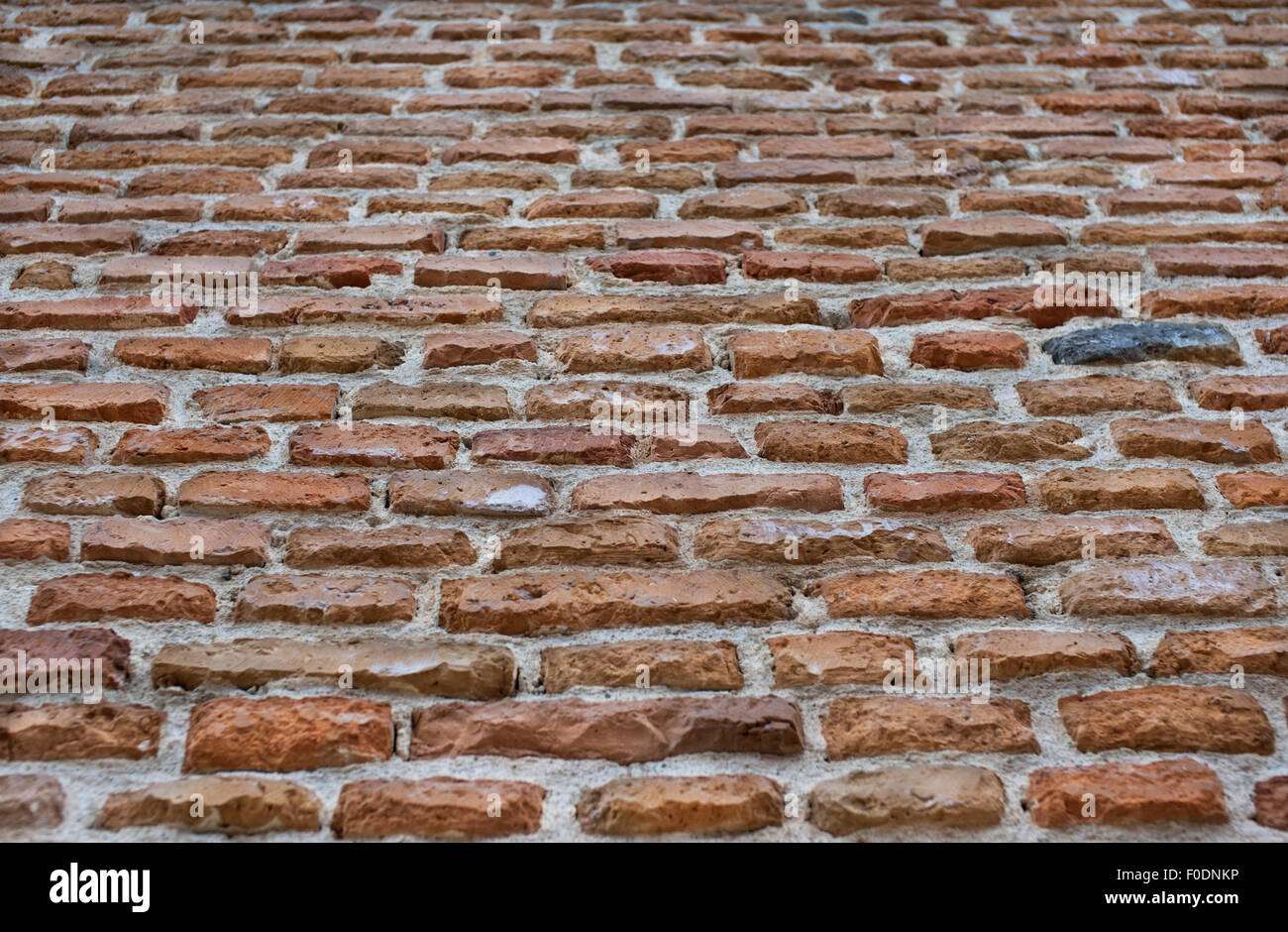 Muro di mattoni in background. Personalizzabile parete di mattoni texture dello sfondo. Foto Stock