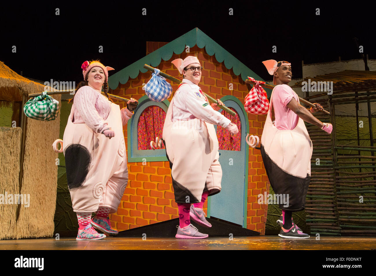 L-R: Leanne Jones, Daniel Buckley e Taofique Folarin. West End premiere della storia per bambini " 3 Little Pigs' presso il Palace Theatre starring Simon Webbe come Lupo, Alison Jiear come madre, Leanne Jones come Bee, Taofique Folarin come bar e Daniel Buckley come D. Lo spettacolo va dal 5 agosto al 6 settembre 2015. Foto Stock